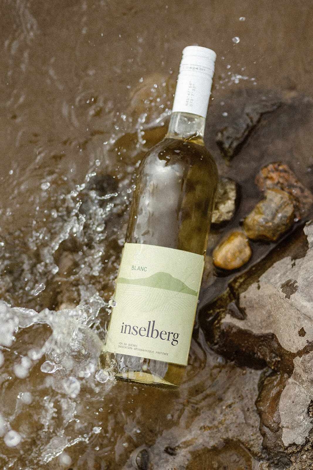 Inselberg - Vin blanc - Lot 100 DIX